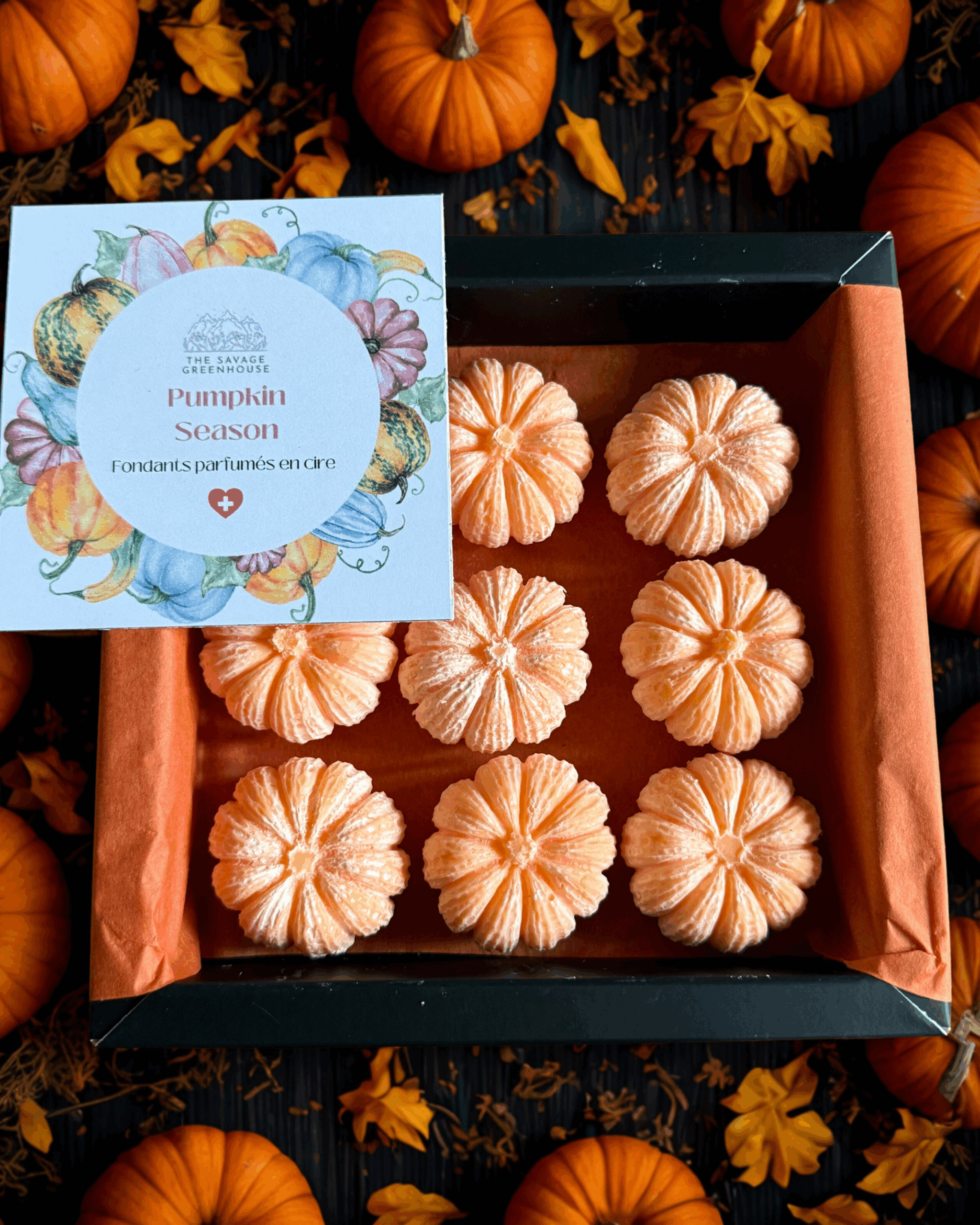 Fondants parfumés Pumpkin Season - citrouilles 9 pces