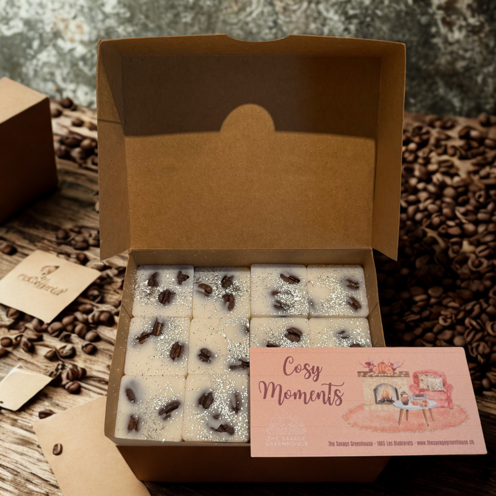 Fondants parfumés Cosy Moments - carrés 12 pces