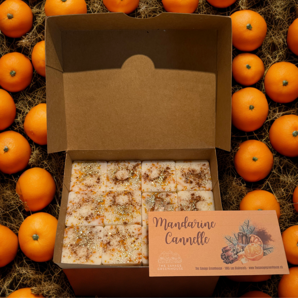 Fondants parfumés Mandarine Cannelle - carrés 12 pces